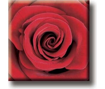 Fridge magnet, Red Rose