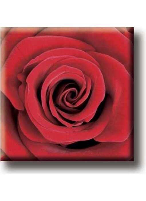 Imán de nevera, rosa roja