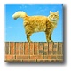 Kühlschrankmagnet, Katze an der Wand