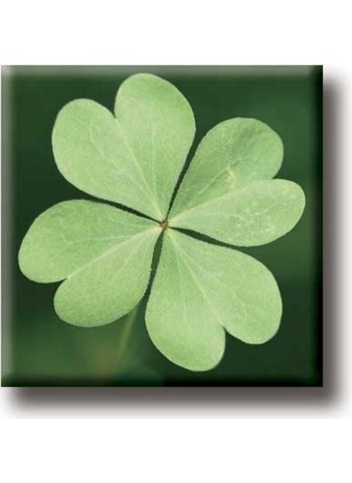 Fridge Magnet, Four Leaf Clover