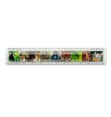 Ruler, Animals Ruler, Animals