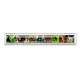 Ruler, Animals