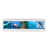 Ruler, Sealife animals