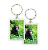 Keyring, Baby Chimp Keyring, Baby Chimp