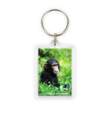 Porte-clés, bébé chimpanzé Porte-clés, bébé chimpanzé
