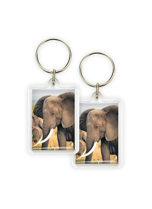 Sleutelhanger, Olifant