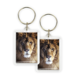 Sleutelhanger, Leeuwenkop Sleutelhanger, Leeuwenkop