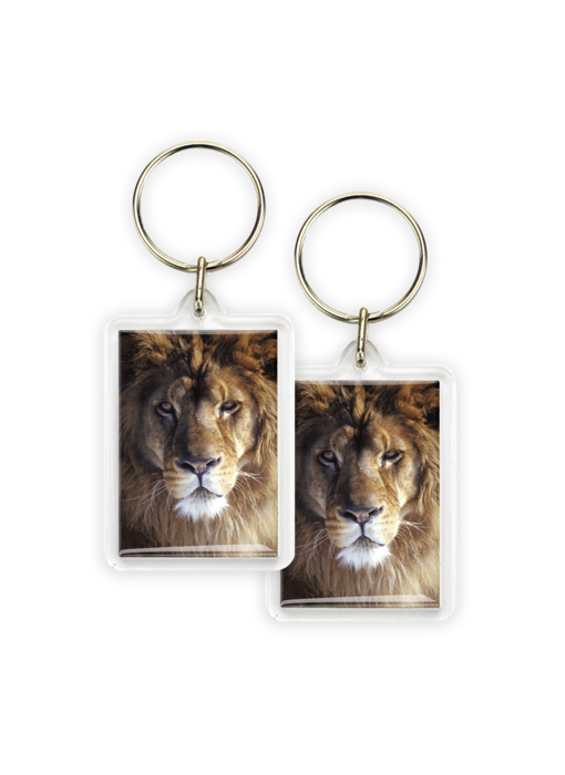 Keyring, Lion Head