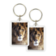Porte-clés, tête de lion