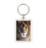 Porte-clés, tête de lion