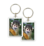 Porte-clés, singe écureuil Porte-clés, singe écureuil
