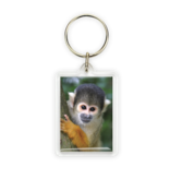 Sleutelhanger, Doodshoofdaapje