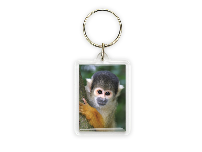 Porte-clés, singe écureuil
