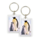 Porte-clés, pingouins