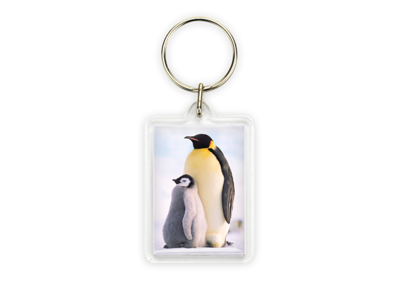 Sleutelhanger, Pinguins