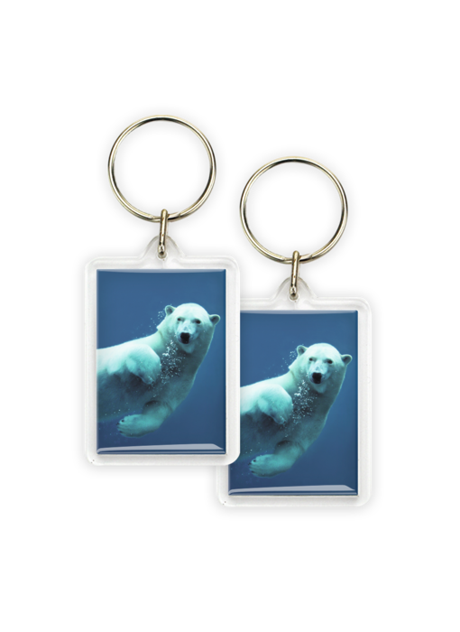 Keyring, Polar Bear