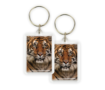 Keyring, Tiger Head
