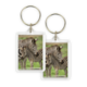 Porte-clés, Zebra
