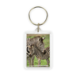 Porte-clés, Zebra Porte-clés, Zebra