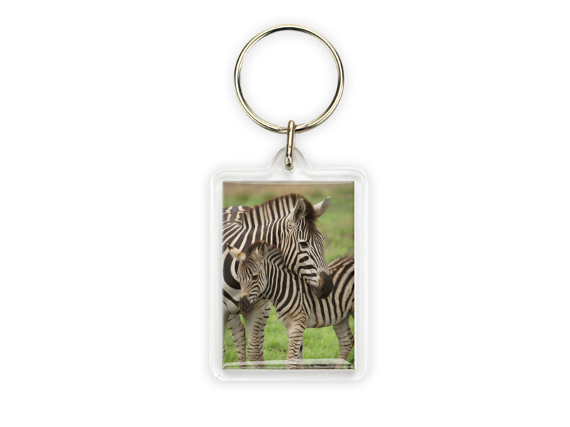 Keyring, Zebra