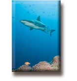 Aimant de réfrigérateur, Shark Aimant de réfrigérateur, Shark