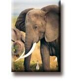 Koelkastmagneet, Olifant