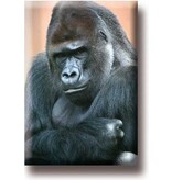 Koelkastmagneet, Gorilla Koelkastmagneet, Gorilla