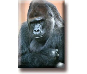 Koelkastmagneet, Gorilla