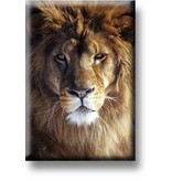 Aimant de réfrigérateur, tête de lion Aimant de réfrigérateur, tête de lion