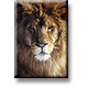Aimant de réfrigérateur, tête de lion