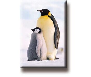 Koelkastmagneet, Pinguins