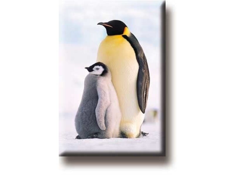 Fridge Magnet, Penguins