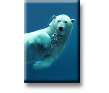 Imán de nevera, oso polar