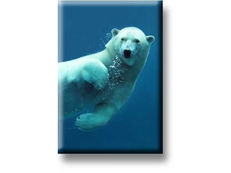 Aimant de réfrigérateur, Ours polaire