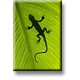Imán de nevera, lagarto