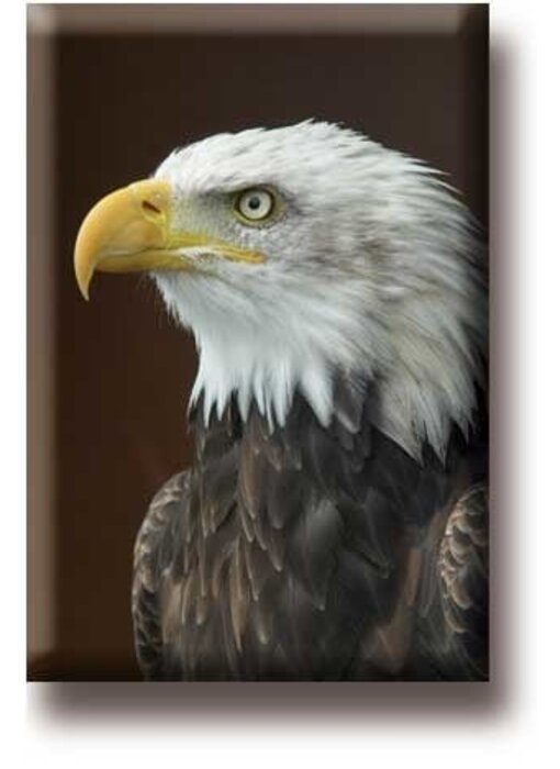 Fridge Magnet, Eagle