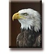 Imán de nevera, águila