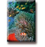 Imán de nevera, pez payaso, mar tropical