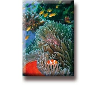 Aimant de réfrigérateur, poisson clown, mer tropicale