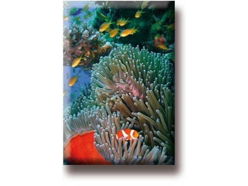 Imán de nevera, pez payaso, mar tropical