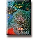 Aimant de réfrigérateur, poisson clown, mer tropicale