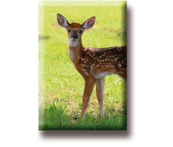 Fridge magnet, Deer, calf