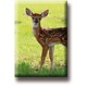 Fridge magnet, Deer, calf