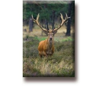 Kühlschrankmagnet, Hirsch, Bock
