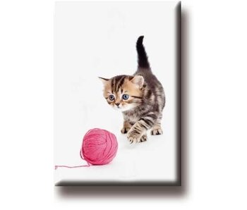 Fridge magnet, Cat with ball of wool