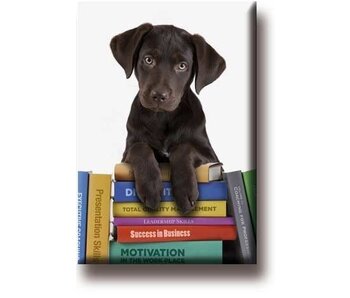 Imán de nevera, cachorro en libros