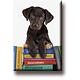 Fridge Magnet, Puppy on books