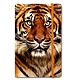 Cuaderno de tapa blanda A6, cabeza de tigre