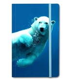 Cuaderno de tapa blanda, oso polar