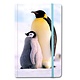 Softcover Book A6, Penguins